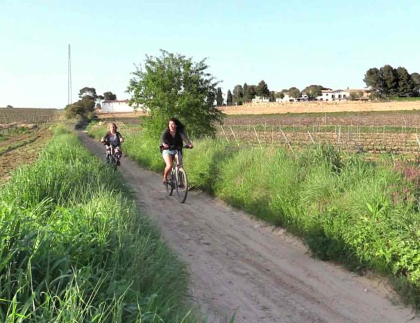 Location vélo Penedès