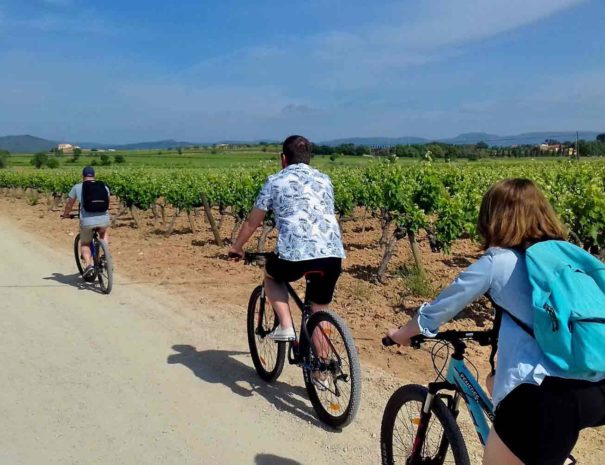 Tour vin Penedès