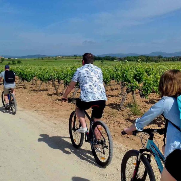 Tour vin Penedès