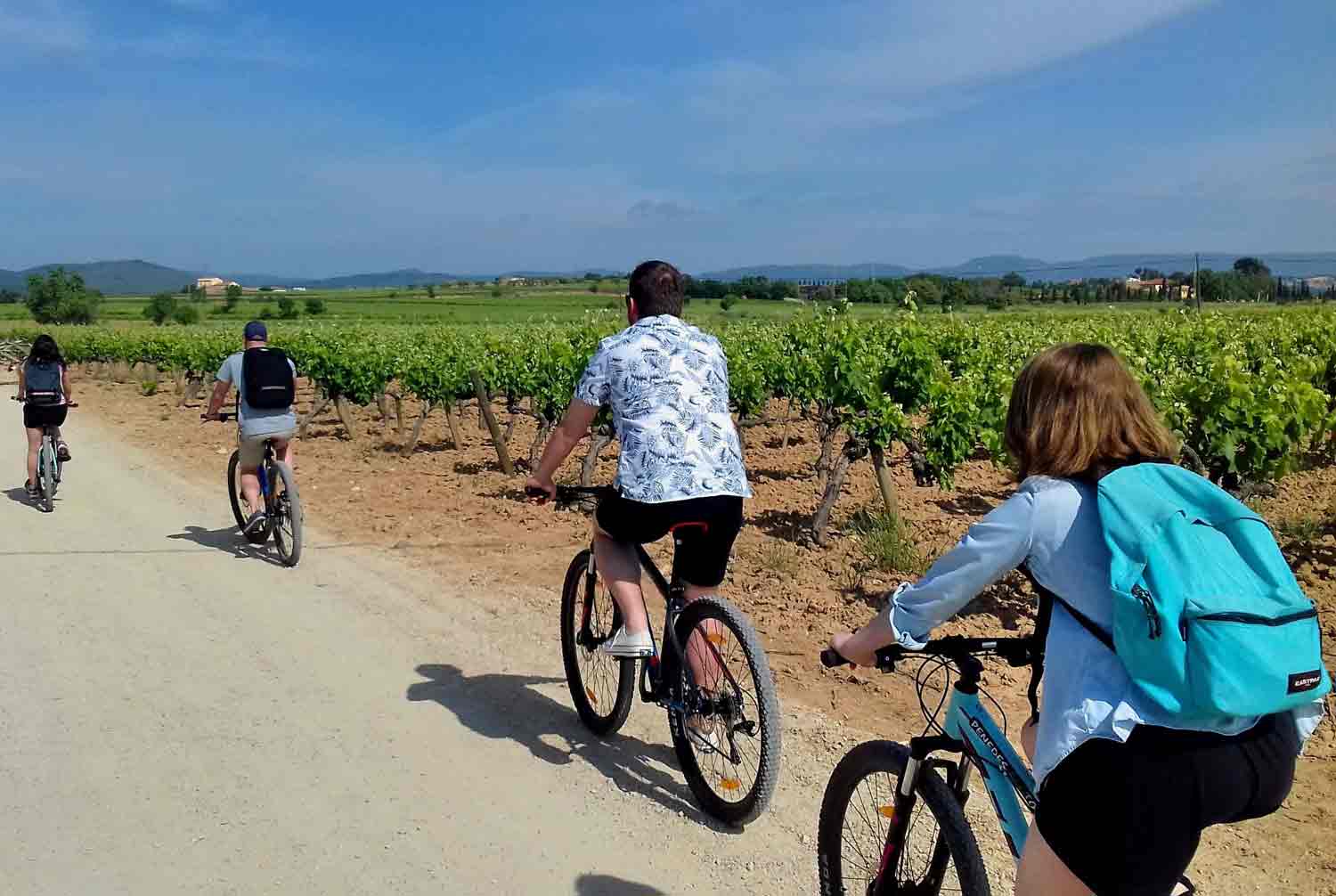 Classic Penedès bike tour with one winery (Halfday) Penedès Ecotours