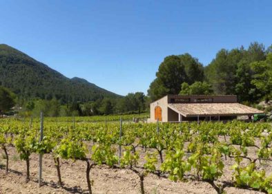 Bodega Can Marlès