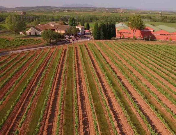 Bodega Giró Ribot