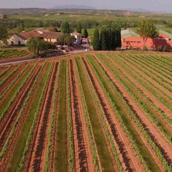 Bodega Giró Ribot