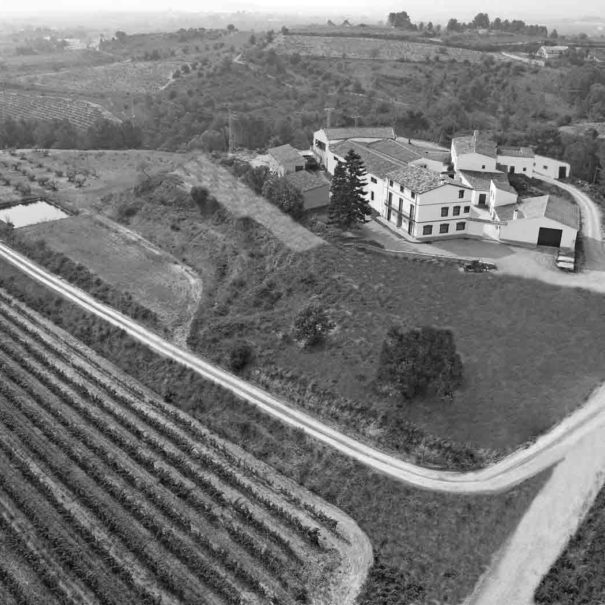 Bodega Jean Miquel Jané