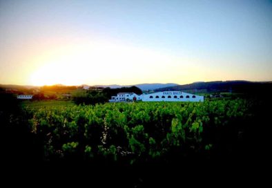 Bodega Parès Balta