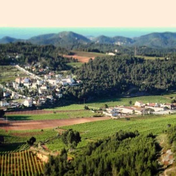 Bodega Vins de Foresta