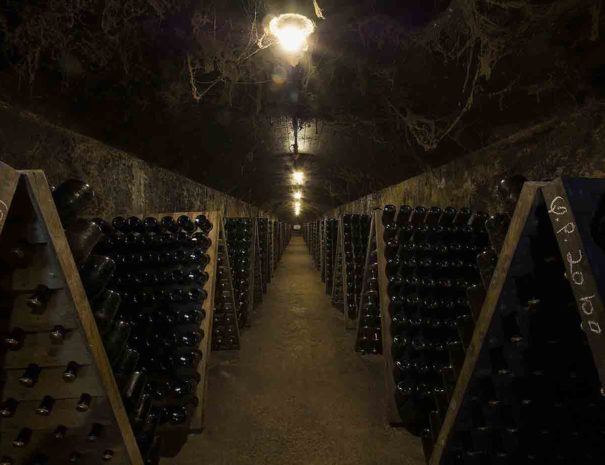 cave cava penedes