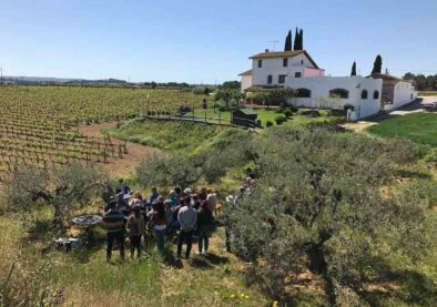 Bodega Carol Vallès