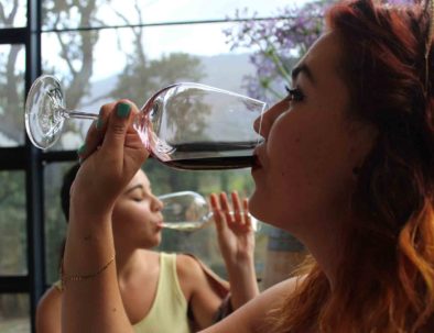 Dégustation au Penedès