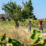 visite vignoble penedes