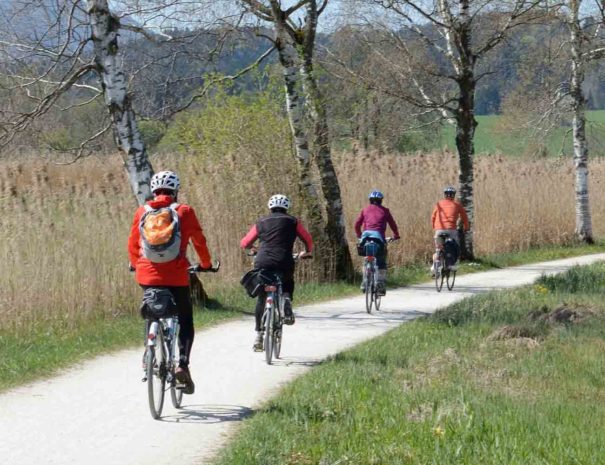Vélo dans les vignes du Penedès