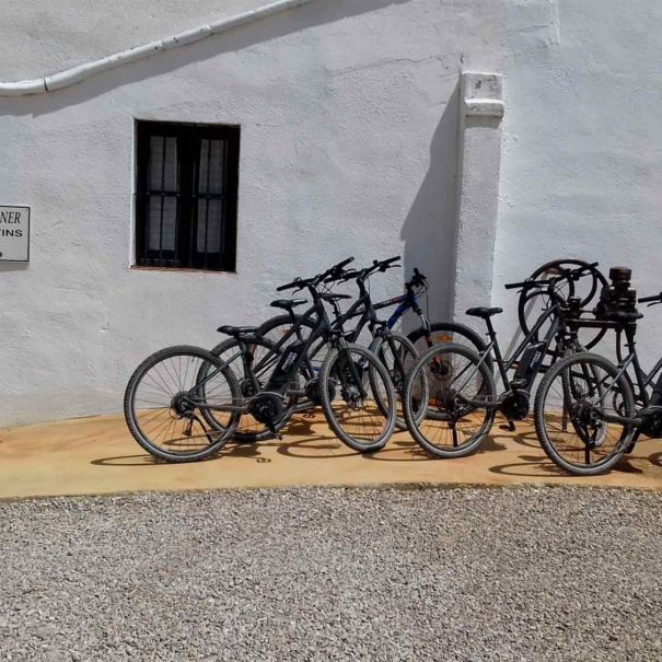 Alquiler bicicleta Penedès