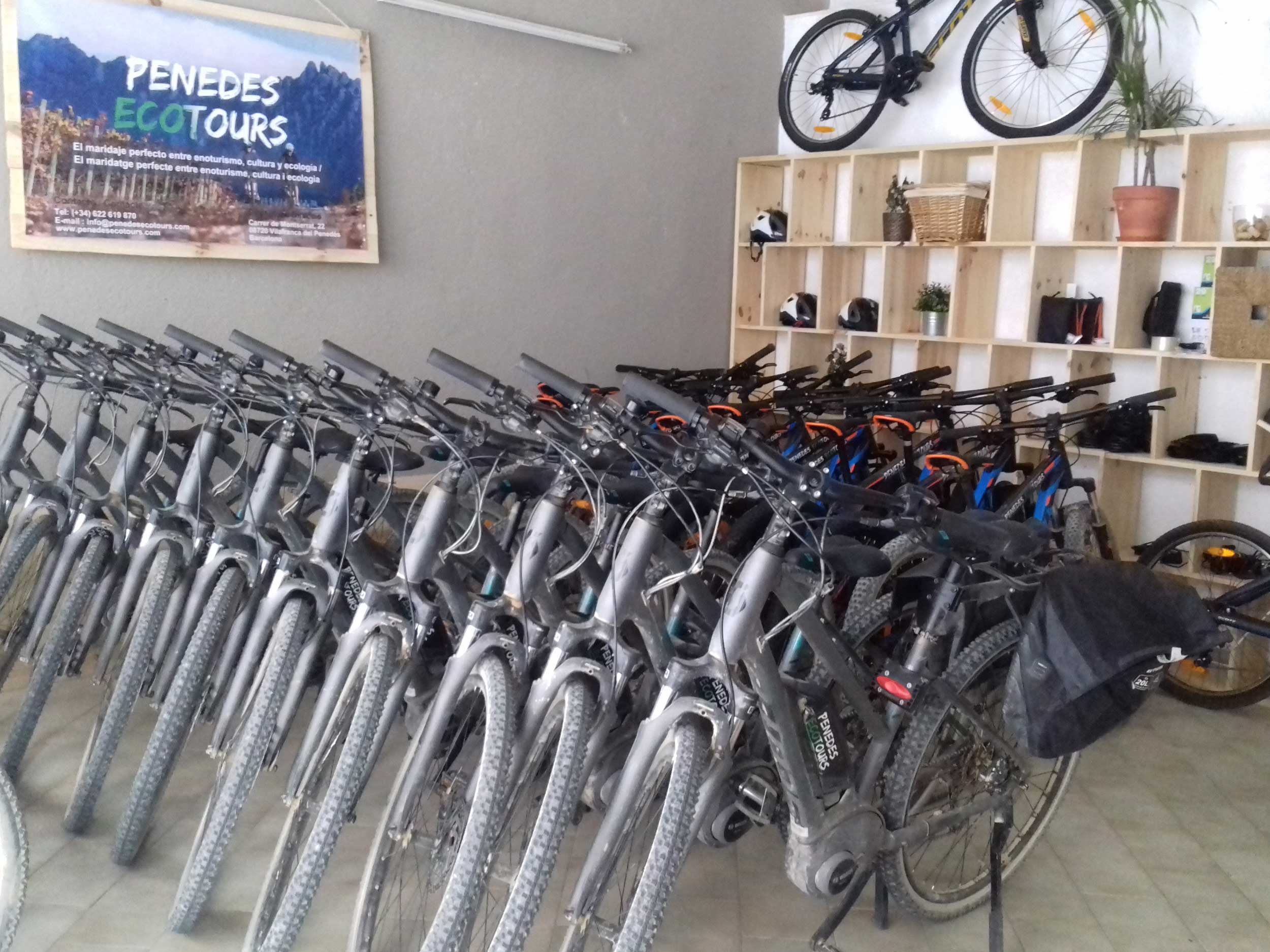electric bike rental penedes Penedès Ecotours