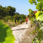 bike tour penedes from barcelona