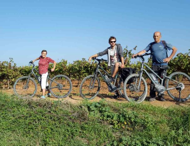 Bike tour wine barcelona