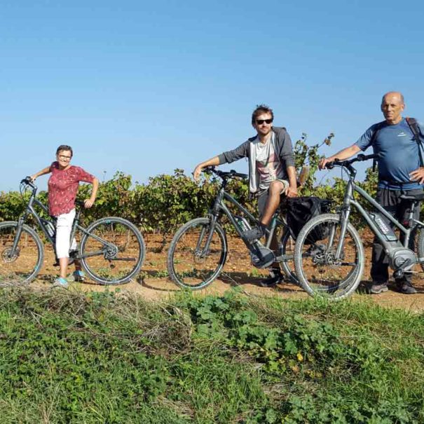 Bike tour wine barcelona
