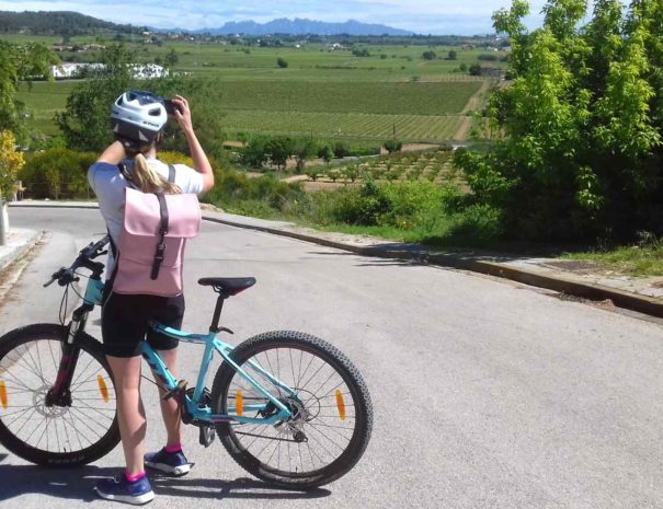 bike wine tour montserrat