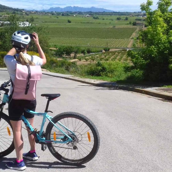 bike wine tour montserrat