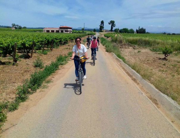 Bike Wine Tour Penedès