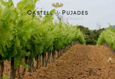 Bodega Castell de Pujades