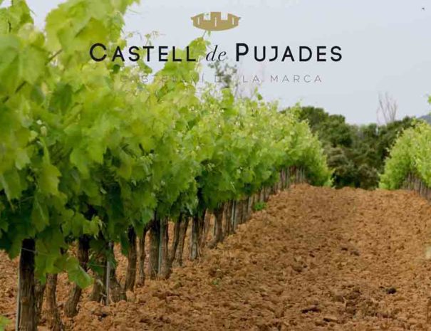 Bodega Castell de Pujades