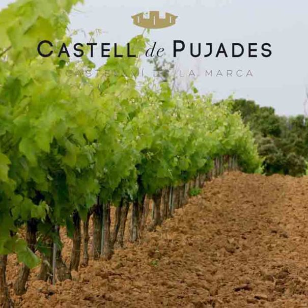 Bodega Castell de Pujades