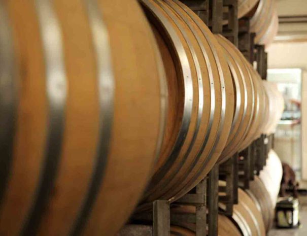 Cellar of wine Penedès