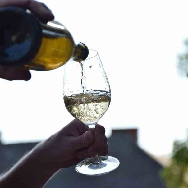 Dégustation de vin dans le Penedès