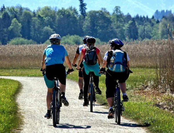 Tour à vélo Penedès