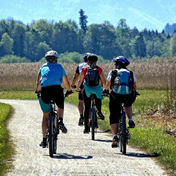 Tour à vélo Penedès