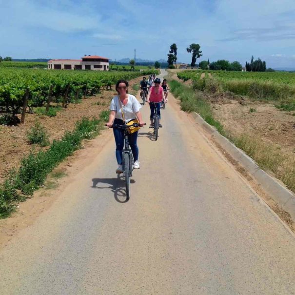 Vino Tour Penedès