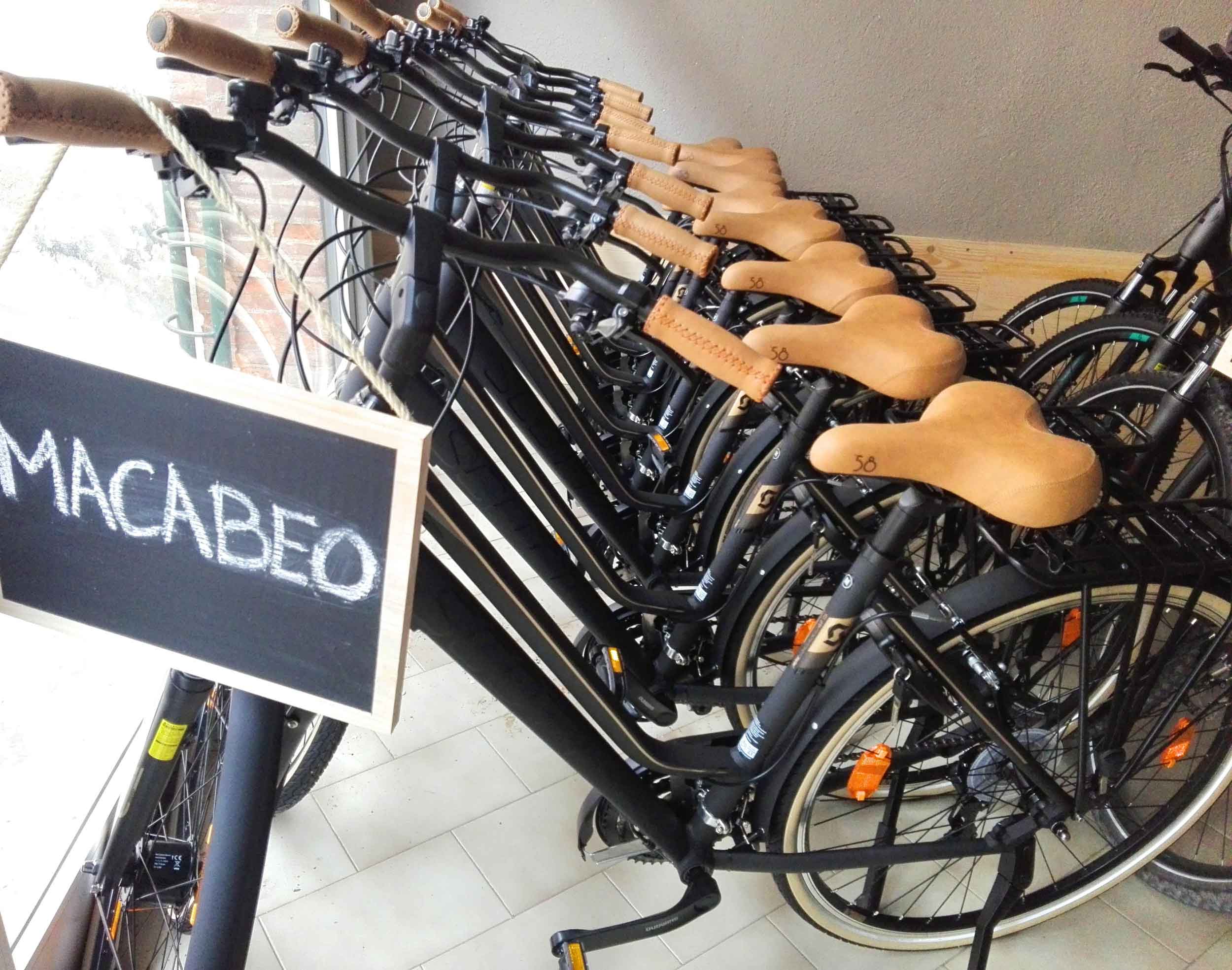 Bike rental Penedès Penedès Ecotours