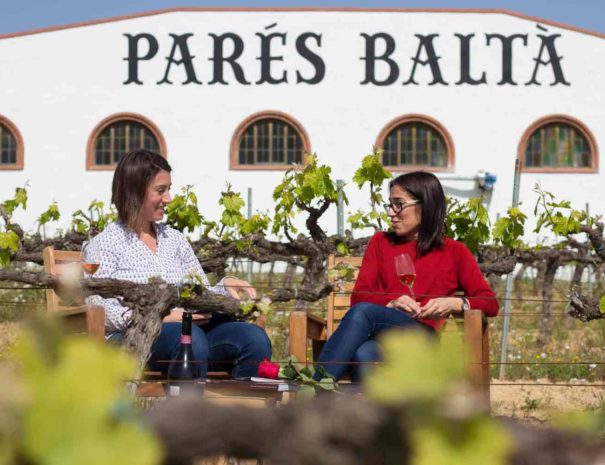 Cata vinedos Parès Balta