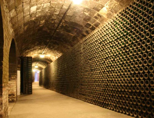 Cava celler Rovellats