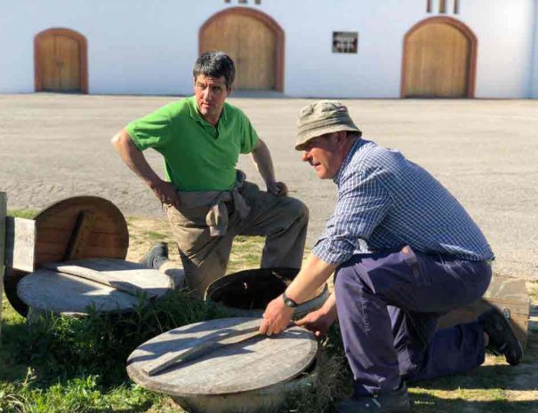 Parès Balta Biodynamic