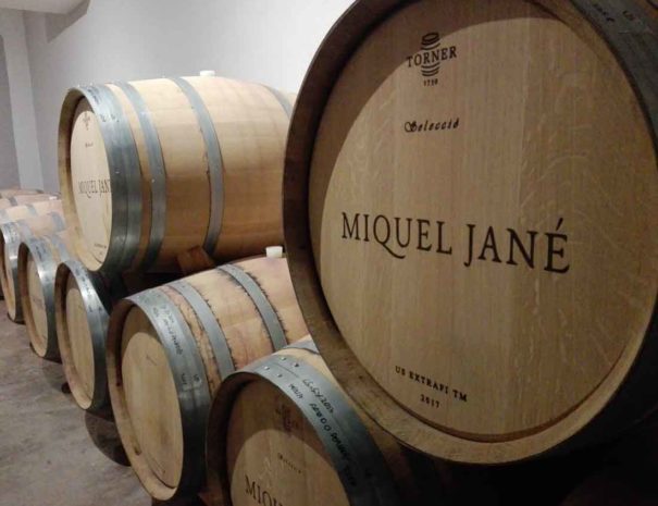 Vino Miquel Jané