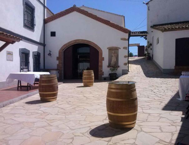 Visita bodega Miquel Jané