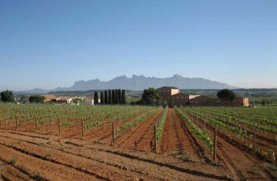Bodega Giró Ribot