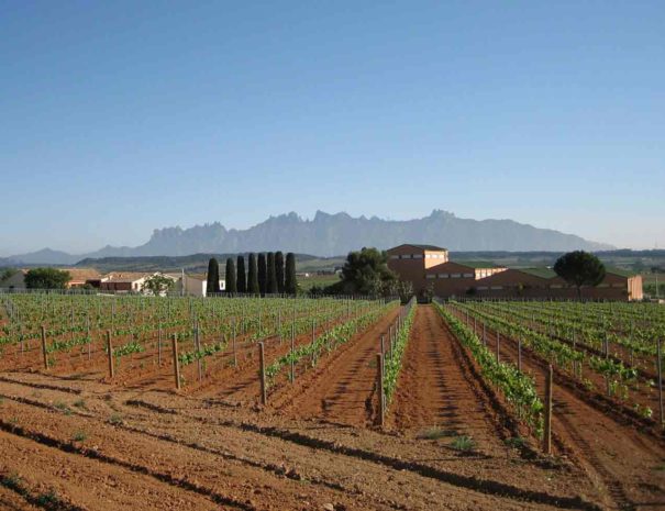 Bodega Giró Ribot