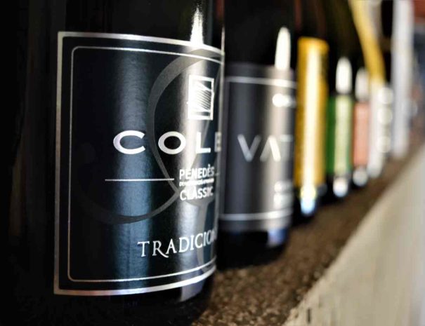 Cava Tour Bodega Colet