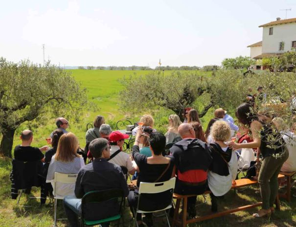 Tour bodega Carol Vallès