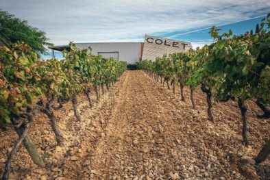 Tour bodega Colet