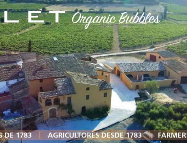 Visit Bodega Colet