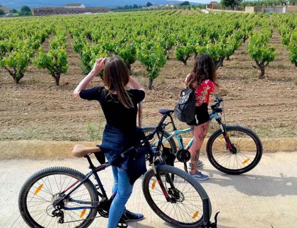 Cava Tour Penedès Bike