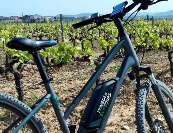 Brunch et vélo Penedès