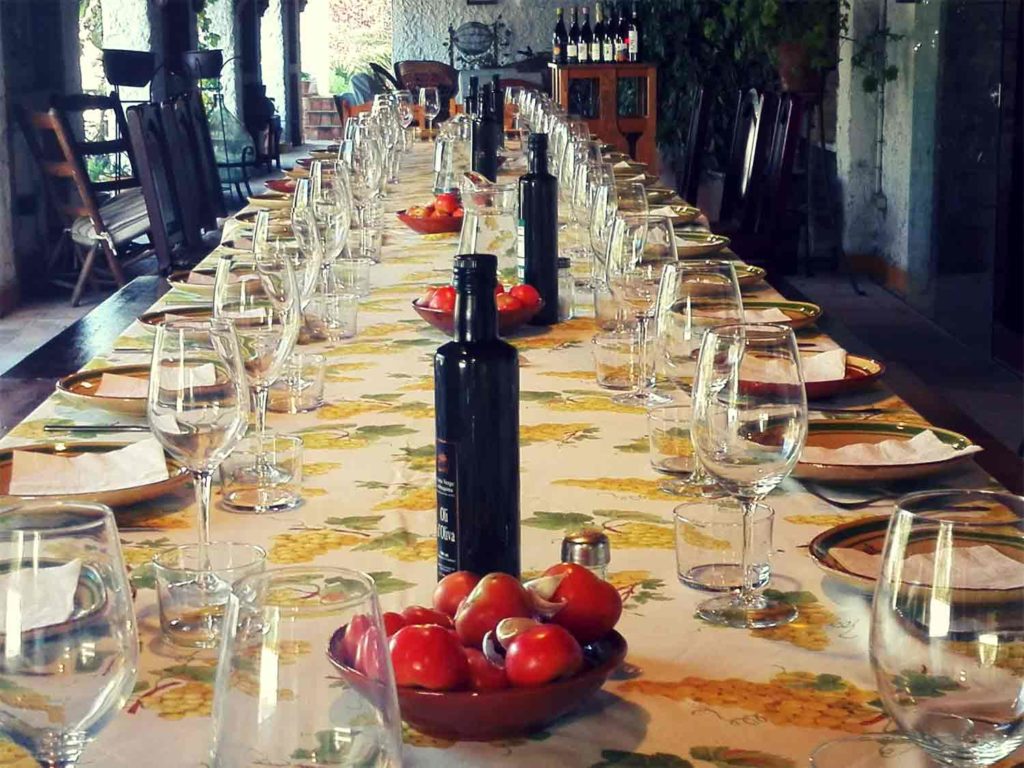 Private Wine Tour Penedès