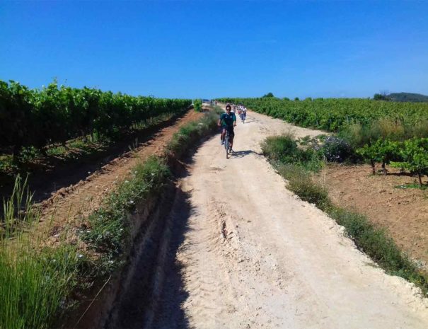 Wine tour from Barcelona