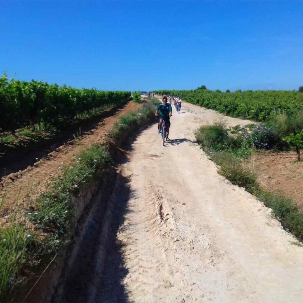 Wine tour from Barcelona