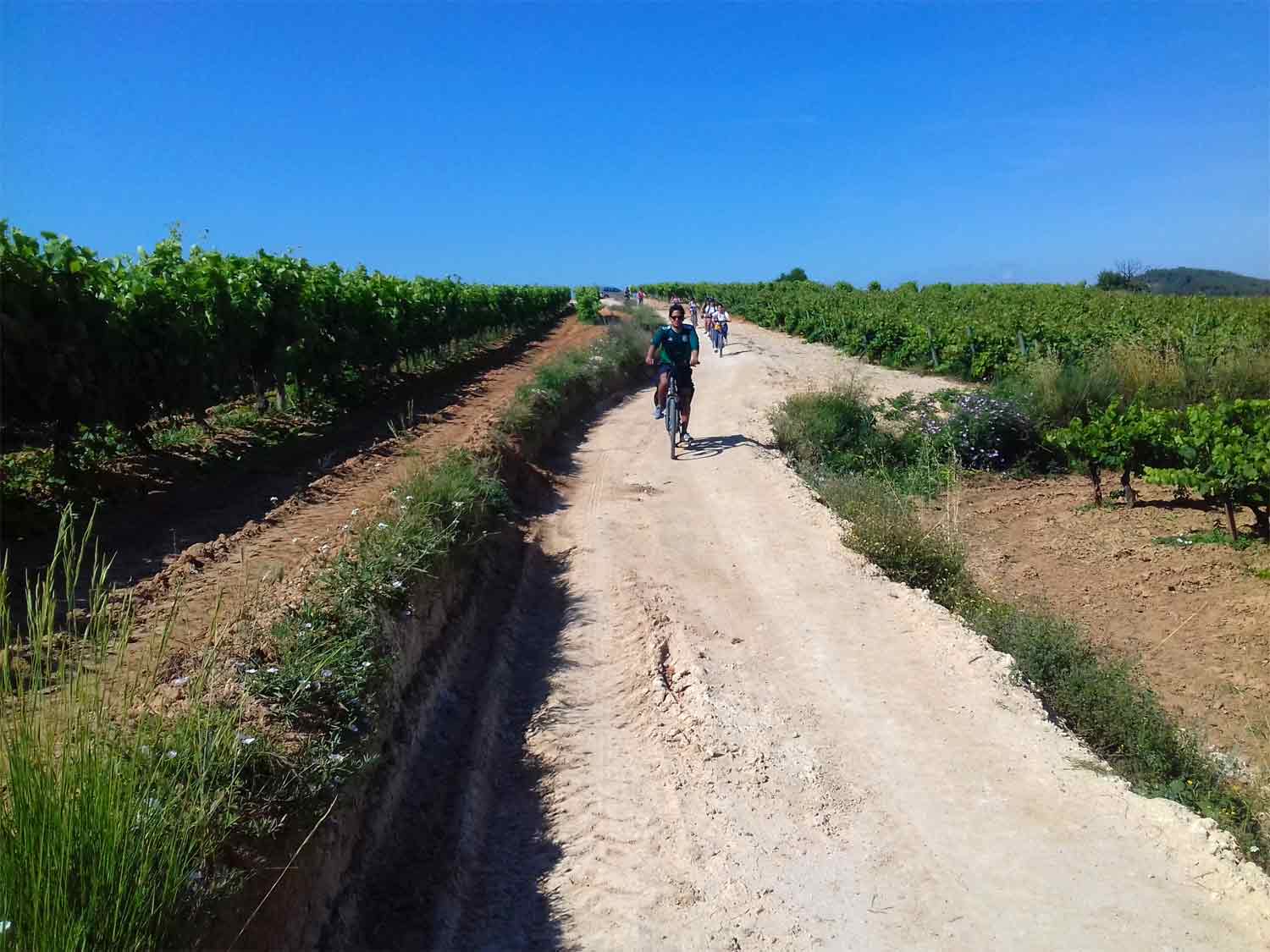 Classic Penedès bike tour with two wineries (Halfday) Penedès Ecotours