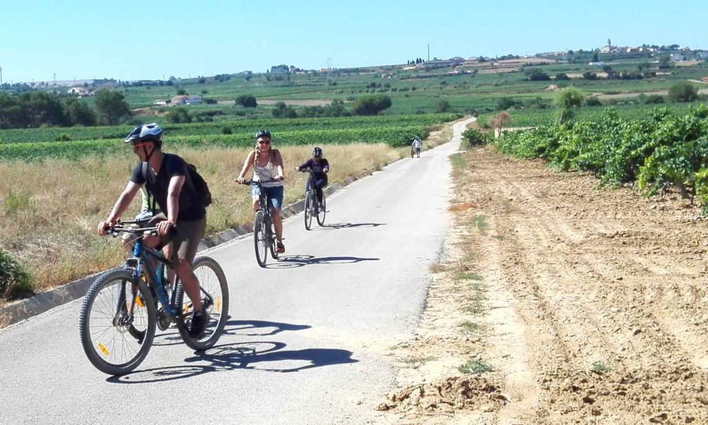 Wine tour Penedès